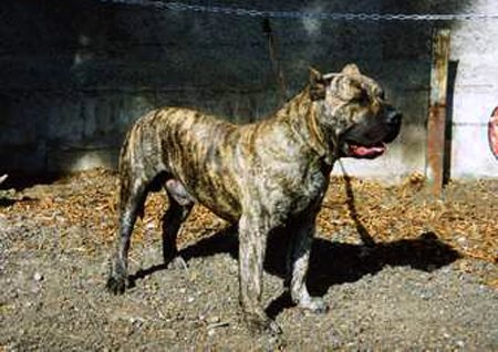 Publication : des contes de Lola