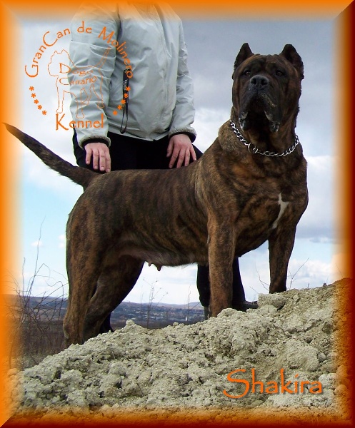 Publication : des contes de Lola Auteur : Molnar Tamas & Judit