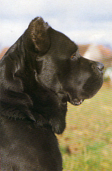 Publication : des contes de Lola