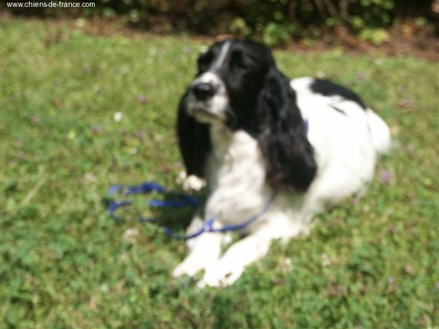 TR. Utonic Du puits lachaud - 2e EXL CLASSE TRAVAIL