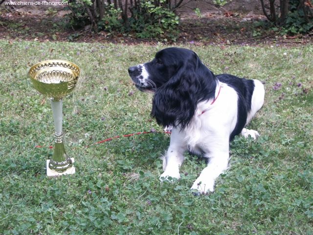 Cooper Du puits lachaud - MARTINE DANIEL TARDY