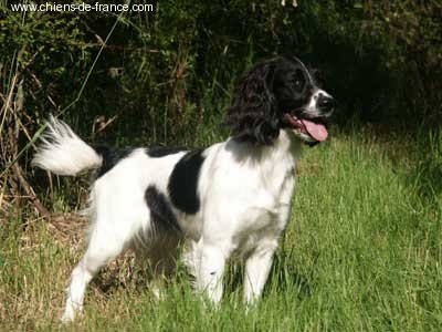 TR. Utonic Du puits lachaud - 6 EXCELLENTS