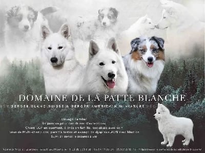 du domaine de la patte blanche
