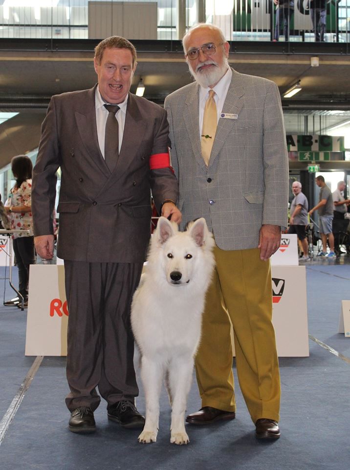 CH. New white wolf du domaine de la patte blanche - 1er EXC BOS