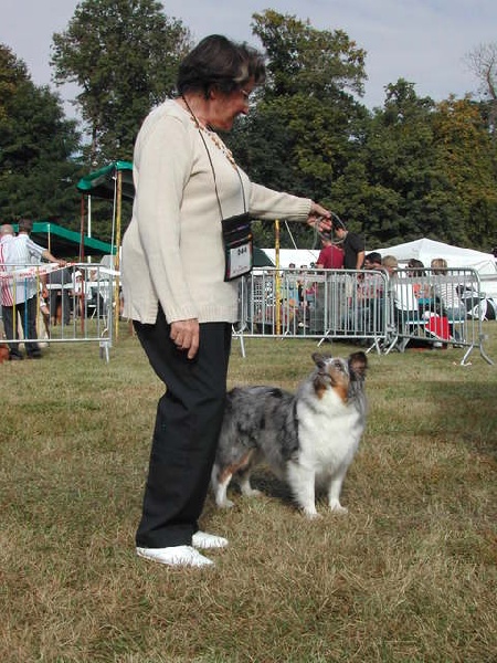 Ulanne Du castel de belle rose - excellent