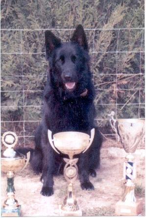 Publication : ** Du champ boulet (ancien)