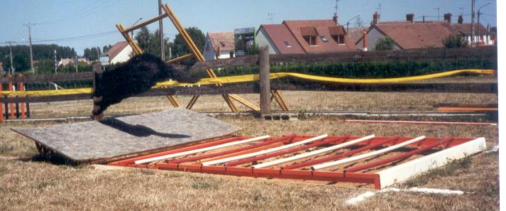 Publication : ** Du champ boulet (ancien)