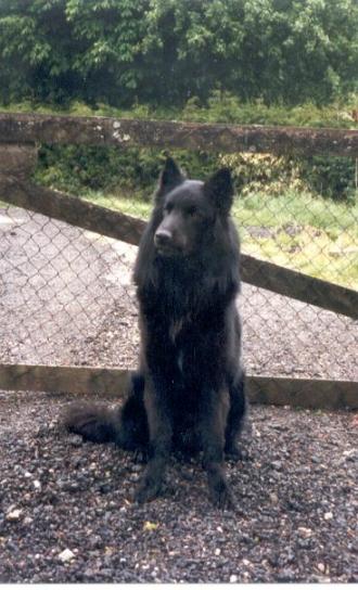 Publication : ** Du champ boulet (ancien)