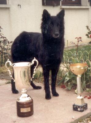 Publication : ** Du champ boulet (ancien)