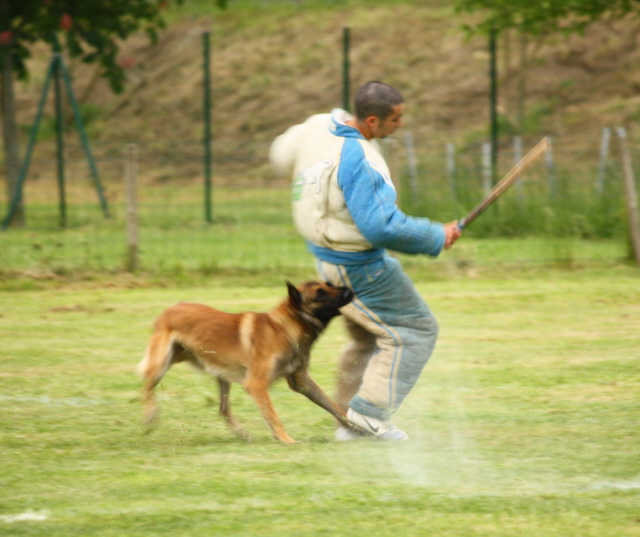 Publication : de la haute morinière