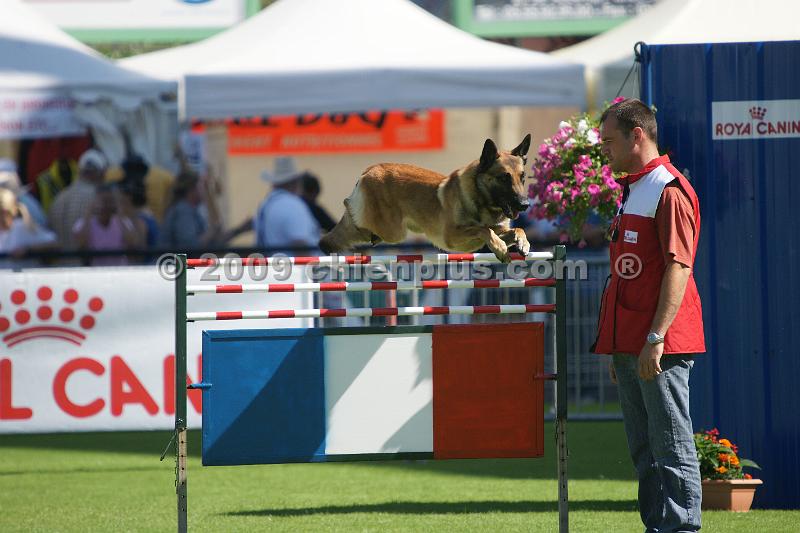 Publication : de la haute morinière