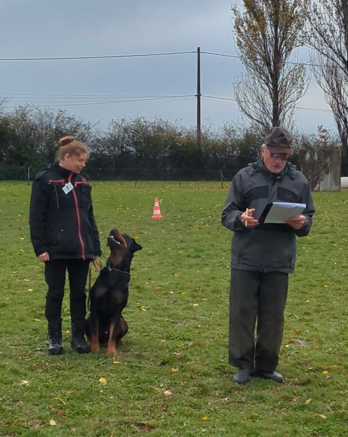 Tino van t' voske - IGP 1- 1er/10 Très bon