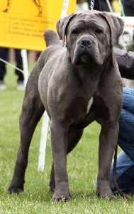 Publication : del Mojjah Auteur : Jonathan LUPART