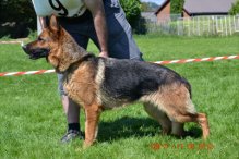 Publication : vom Kairisum