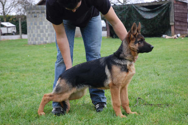 Publication : vom Kairisum