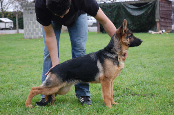 Publication : vom Kairisum