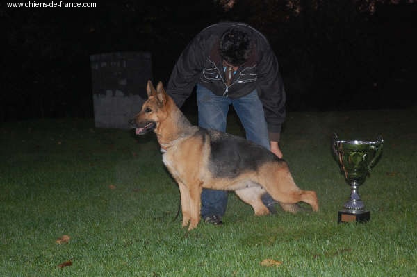 Circe Du champ de thiembeq - 4 eme Exellent + Titre de REINE du RCBA