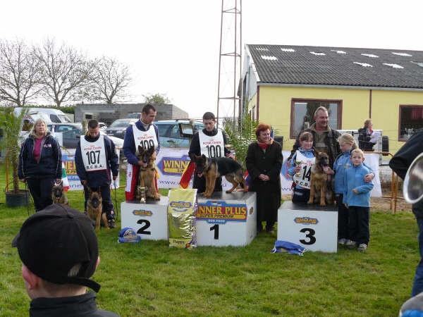 Girl vom Kairisum - 1er sur 12 Très Prometteur classe Baby femelle