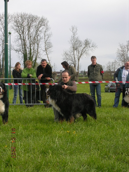 Publication : des mystères du vieux saule