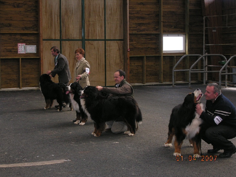 Publication : des mystères du vieux saule