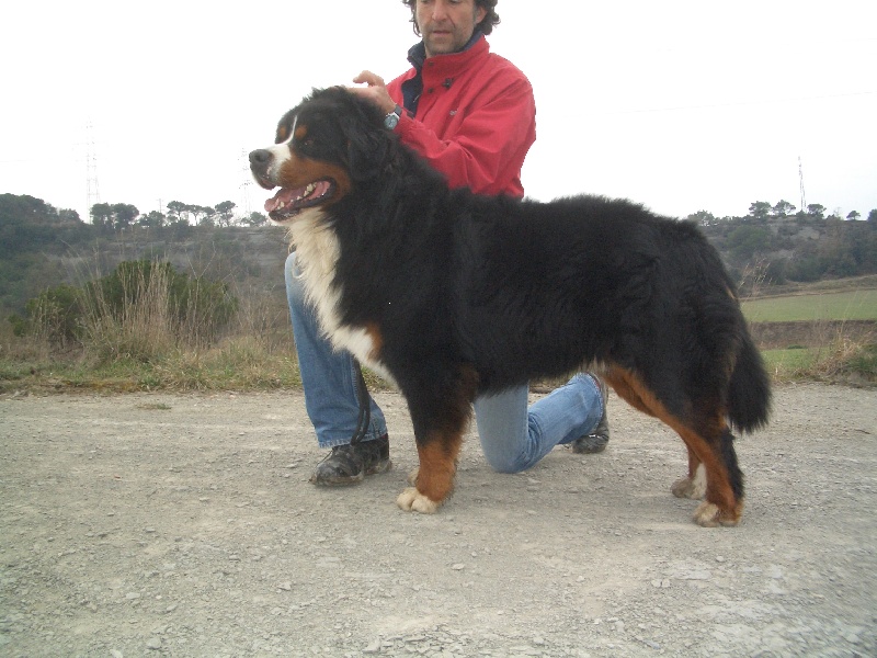 Publication : du Haras de la Vergne Auteur : Xevi Tamayo