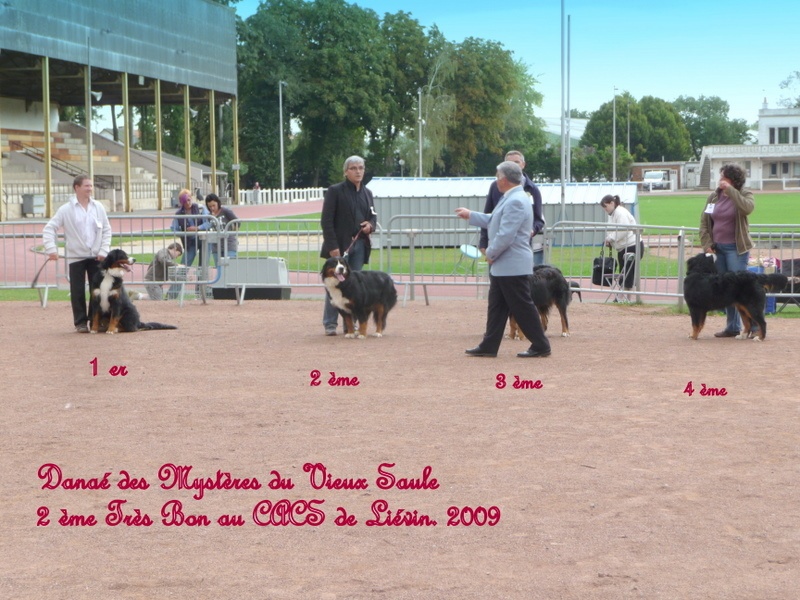 Danaé des mystères du vieux saule - 2 ème Très Bon