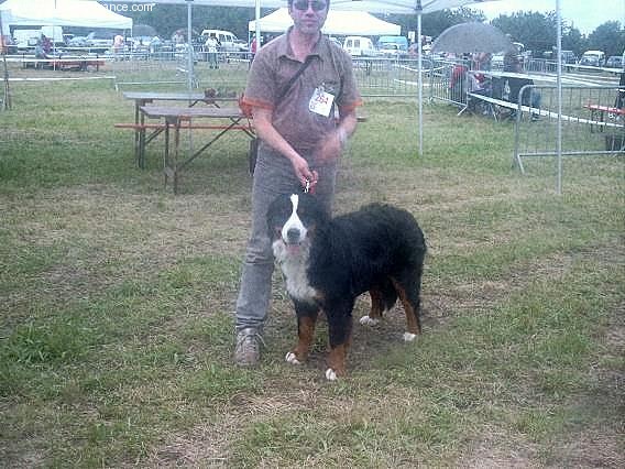 Anouchka des mystères du vieux saule - CACS 1ère EXC. Meilleure femelle de Race