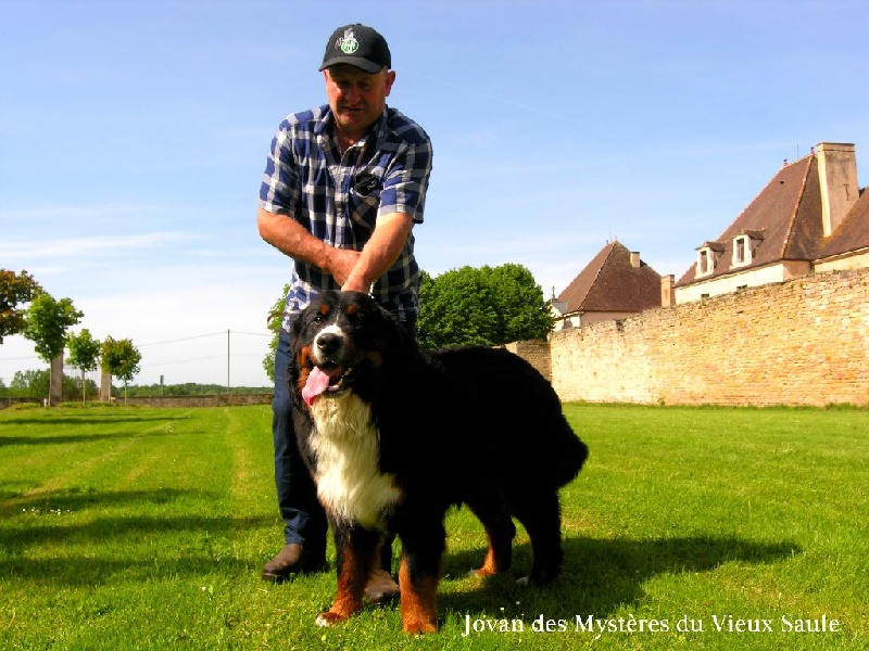 Jovan des mystères du vieux saule - 1 er Très Bon