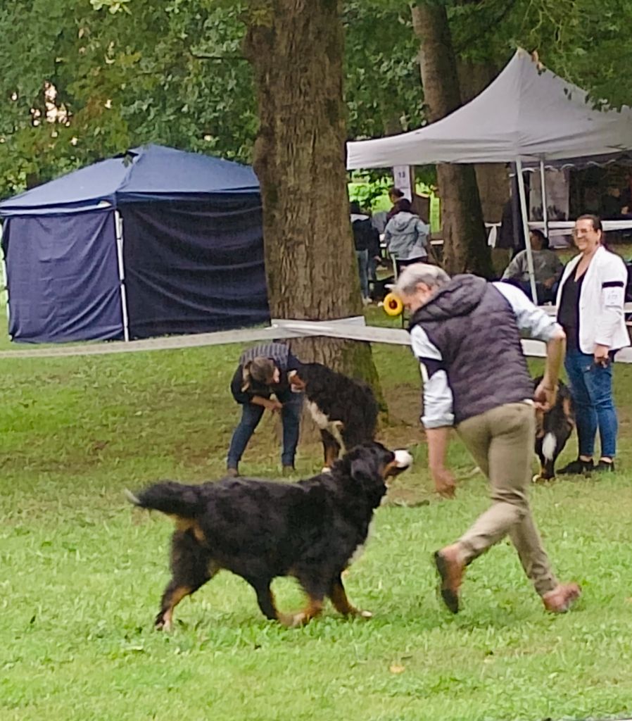 Oda ma douce des mystères du vieux saule - 2e EXCELLENT. RCACS