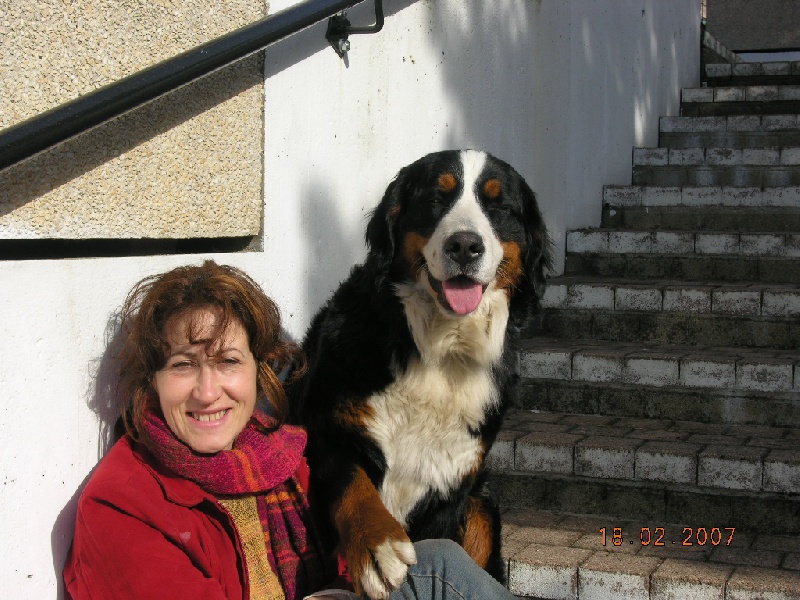 Anouchka des mystères du vieux saule - 3ème TRES BON