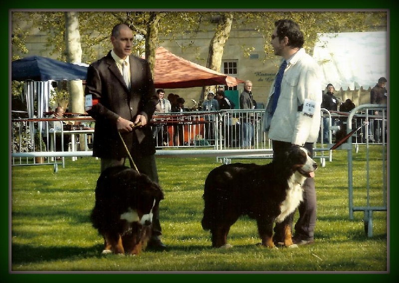 Anouchka des mystères du vieux saule - Très Bon