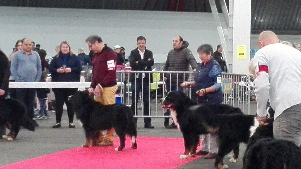 Jovan des mystères du vieux saule - BON