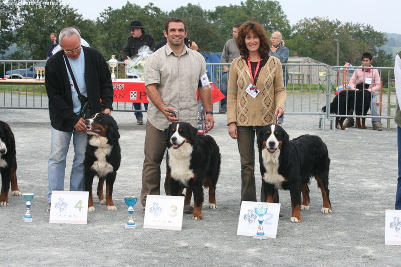Anouchka des mystères du vieux saule - 2 ème EXCELLENT