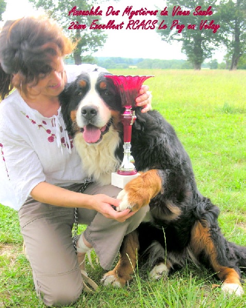 Anouchka des mystères du vieux saule - 2ème Excellent RCACS