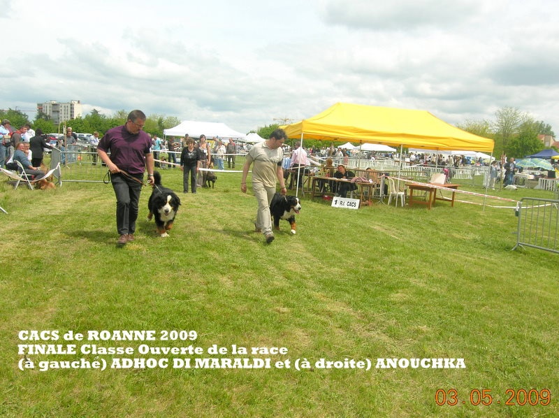 Anouchka des mystères du vieux saule - 1er Exc. CACS