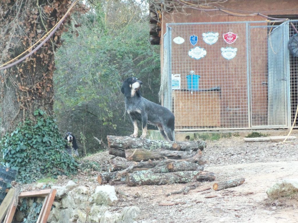 Publication : du Paummeroi