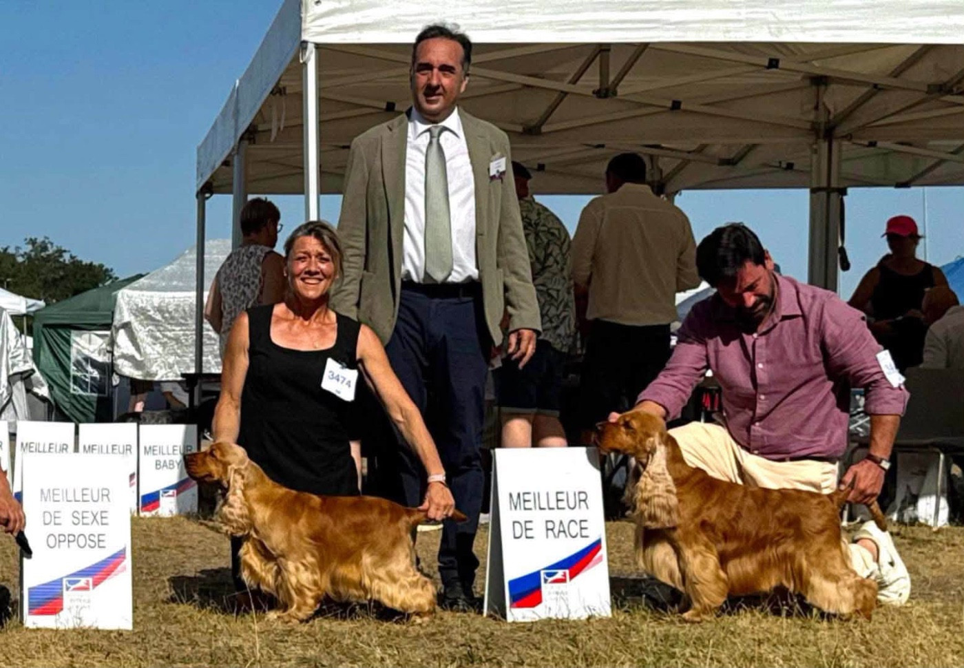 Uraya de l'Orme à Lieue - 1er excellent CACS CACIB Meilleur de sexe opposé