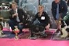 Charbonnel Ruff n trumble - 1er meilleur baby-best in show