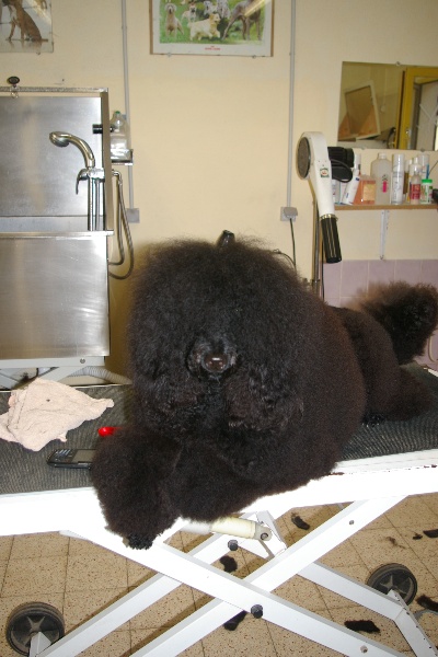 Ebene de Chamberande