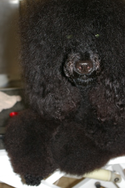 Ebene de Chamberande