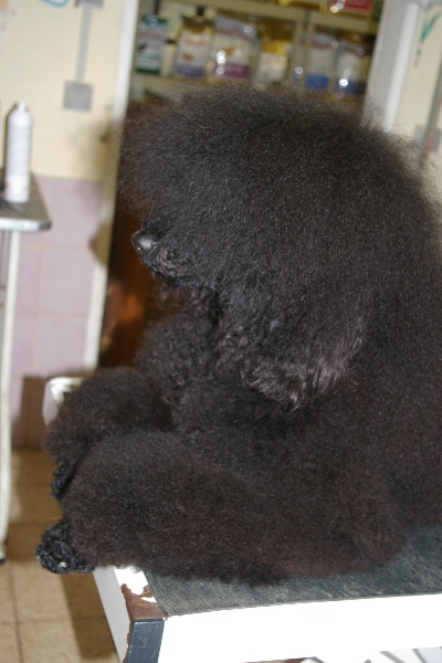 Ebene de Chamberande