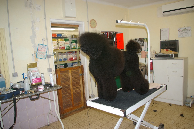 Ebene de Chamberande