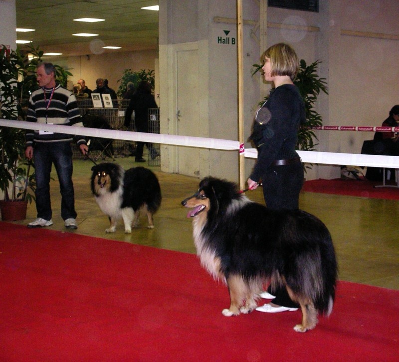 Cristal de roederer black des stuarts de boisbelle - 2éme Excellent et RCACS