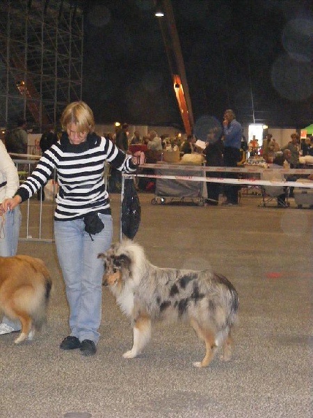 Bounty blue coco des stuarts de boisbelle - 1ère Excellent