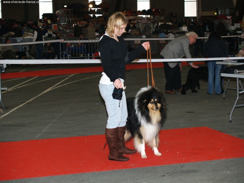 Cristal de roederer black des stuarts de boisbelle - TB