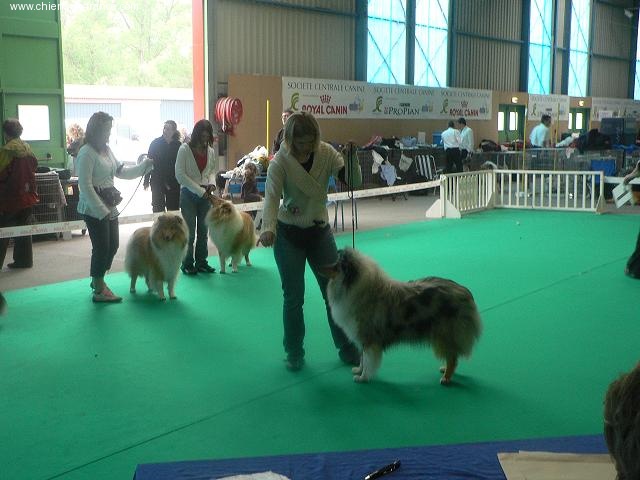 Bounty blue coco des stuarts de boisbelle - TB