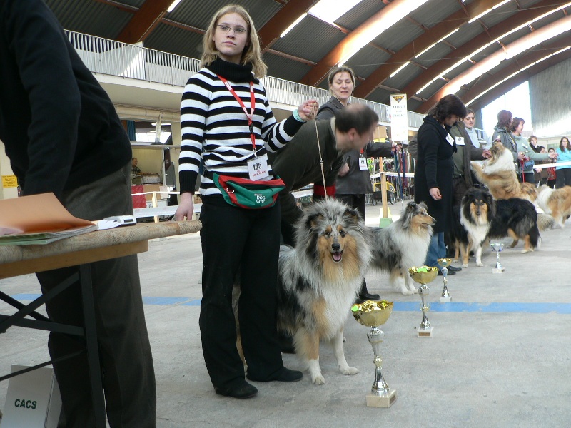 Bounty blue coco des stuarts de boisbelle - Excellent 1ère