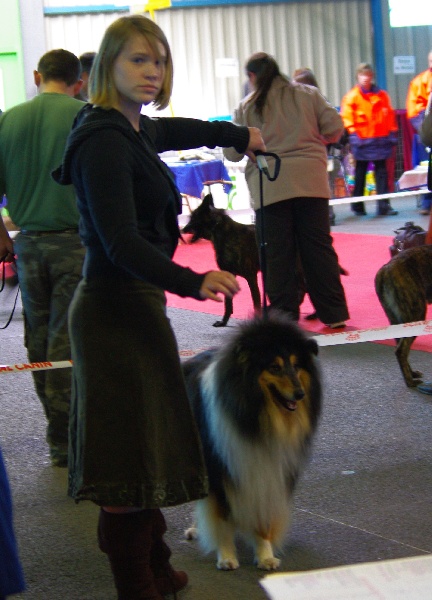 Cristal de roederer black des stuarts de boisbelle - Excellent