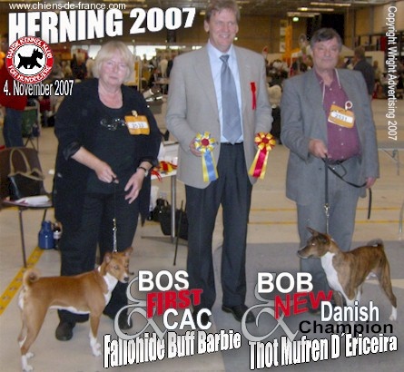 CH. Udfel D'araval - 1EXC+CAC+CACIB+BOB+CHAMPIONNE DU DANEMARK