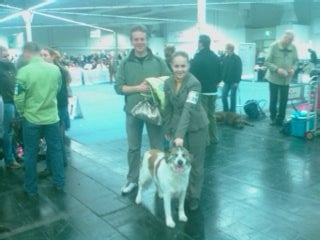 CH. Udfel D'araval - 1 EXCELLENT+CAC+CACIB+BOB+BUNDESSIEGER